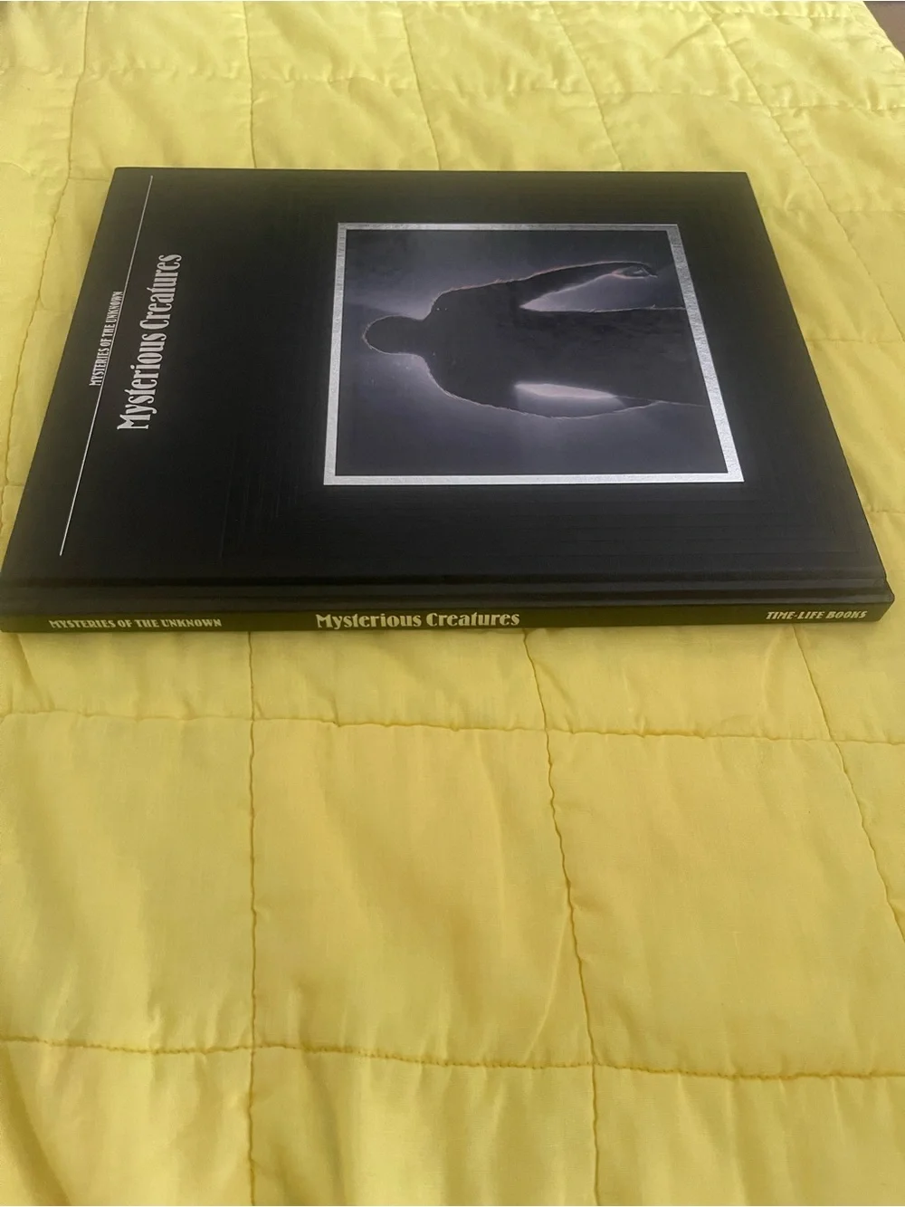 Mysterious Creatures Hardcover Book - Black with Silver Accent